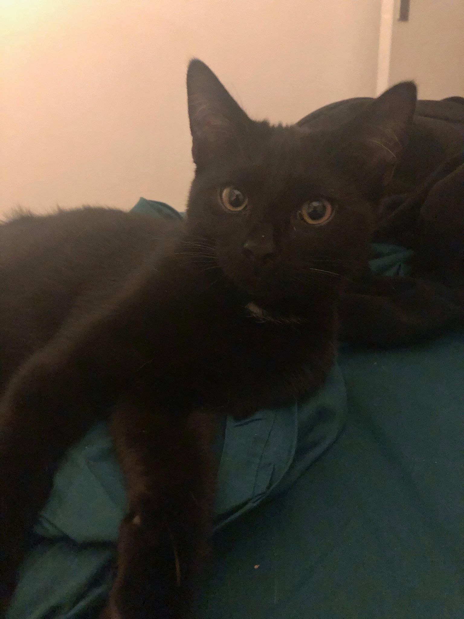 295376179_742170443562720_7452034797121784134_n