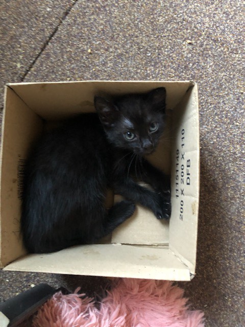 295388886_1263589657710669_7534620951948972671_n