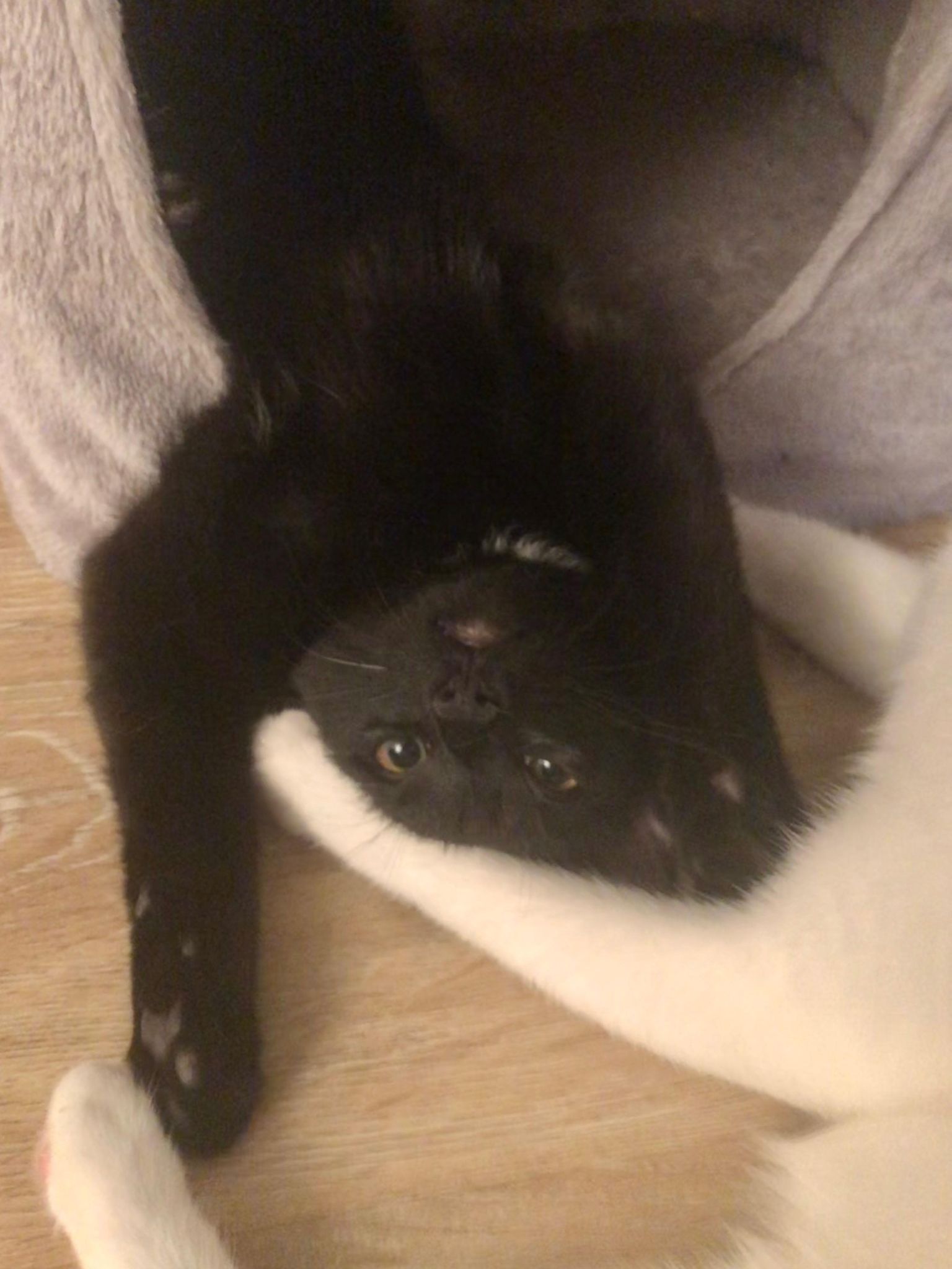 295430274_715727406188224_2308680549813555045_n