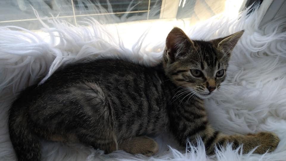 295498964_5532117263515268_2029071373968595391_n