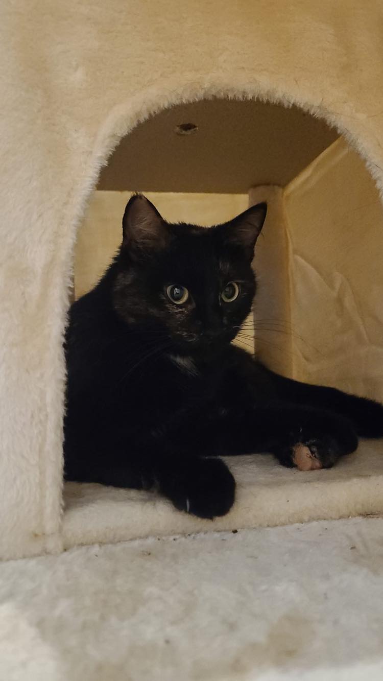 295542723_419981920081434_567088717428004085_n