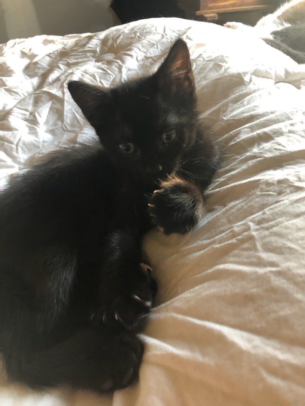 295597839_1102708227322108_3313076430873704349_n-1