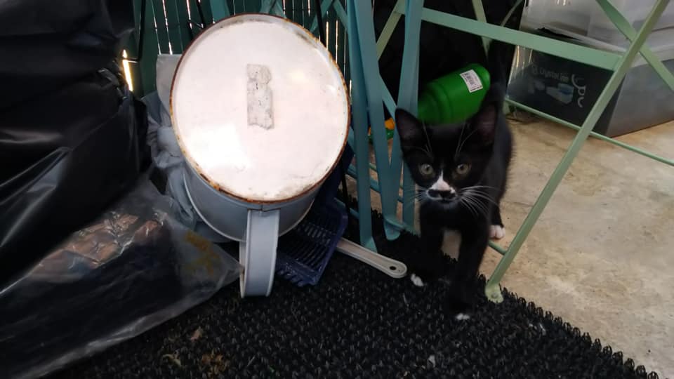 295598447_5532117113515283_1260096767548487236_n-1