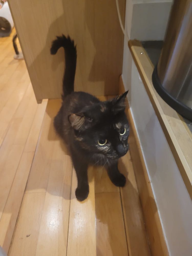 295659108_817581606265622_6711285103267874260_n-2