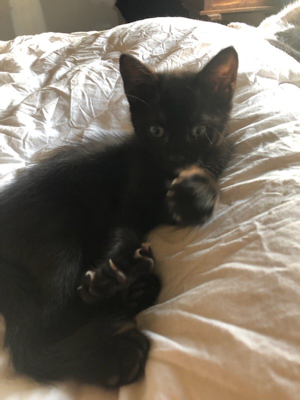 295663704_3334449146774333_7105156388418201612_n