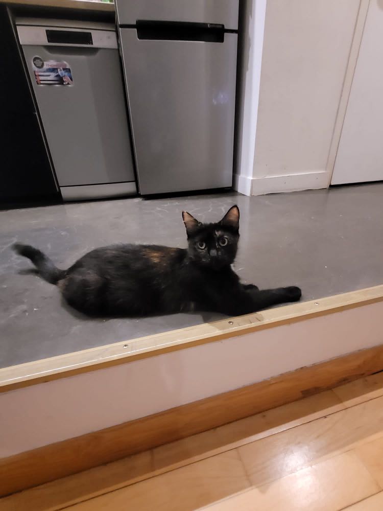 295757512_433941358643914_463784306038160127_n-2