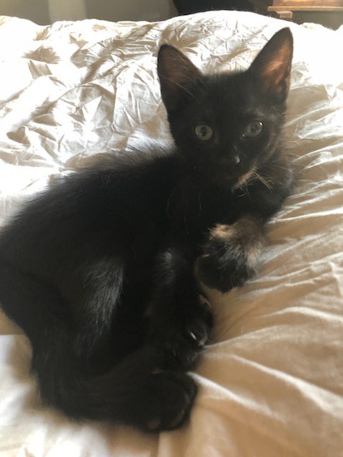 295760496_669599617699689_5024752813551783208_n