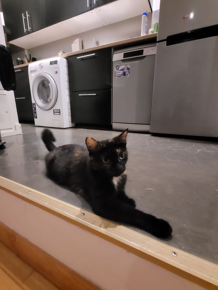 295819176_835178790778878_2476998003823652389_n