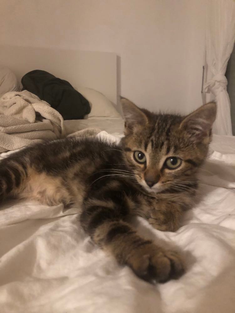 295836966_743967613576418_292493062428389688_n