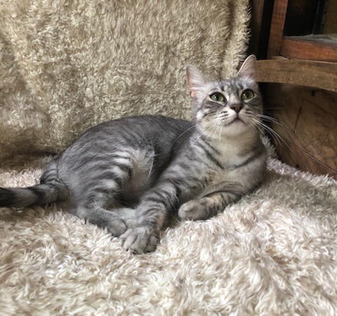 295872907_399422708953774_3503617545990807808_n