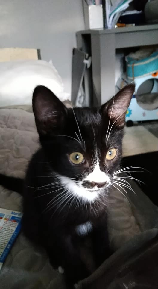 295899137_5537784499615211_4079241460293813963_n-1