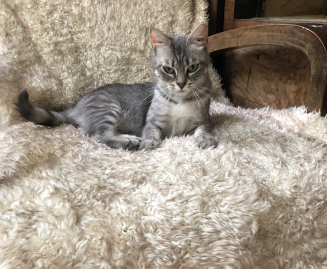 295917835_424140199758671_5274887398781267745_n