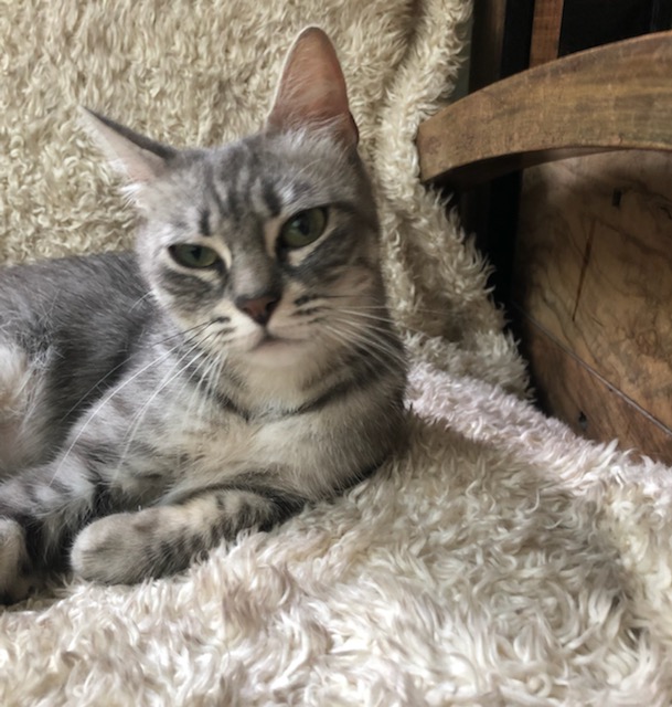 296156494_797509614574960_6854117888213329832_n