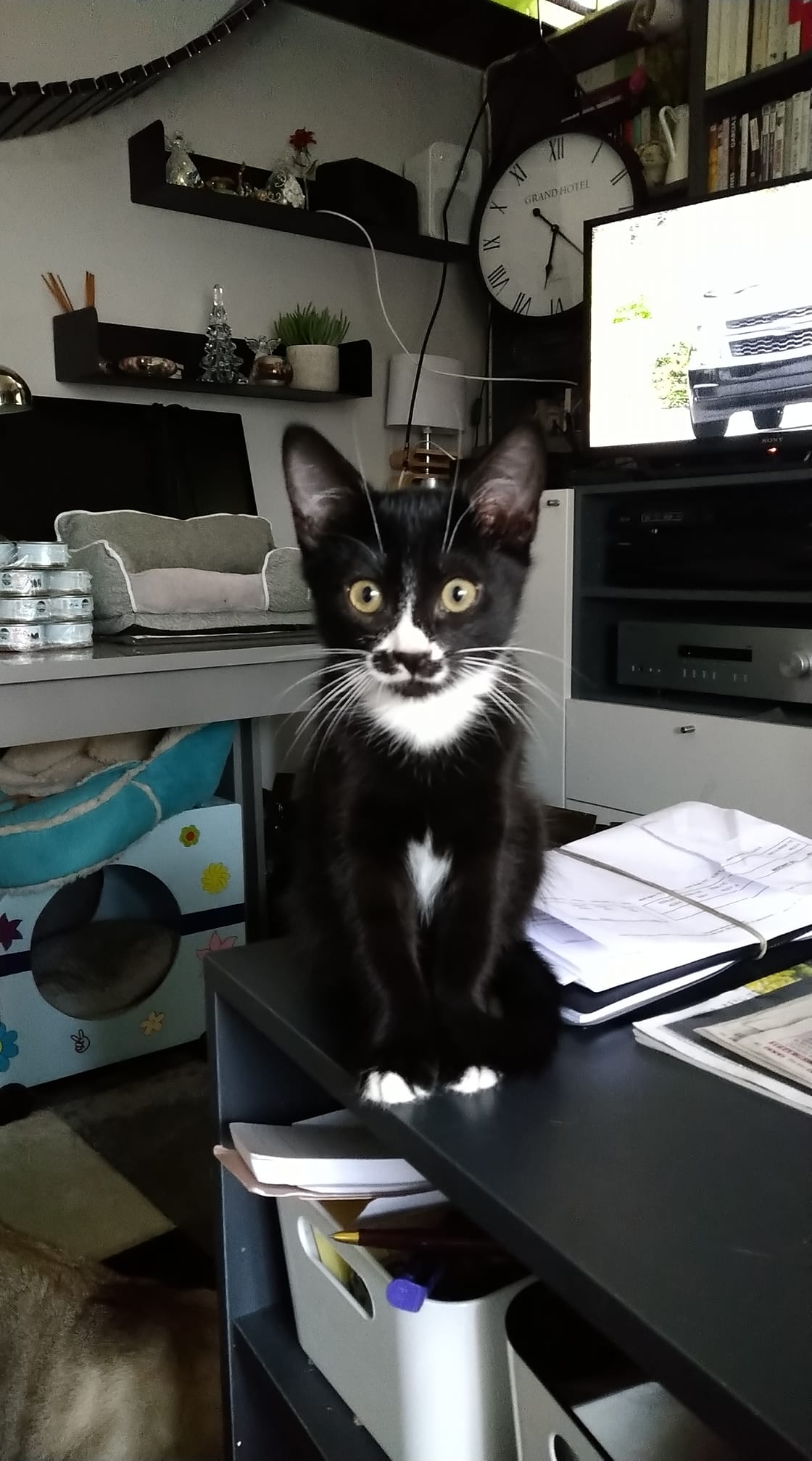 296212189_5554220504638277_6873733085982861021_n