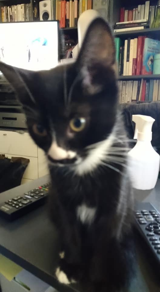 296216791_5550806138313047_2848334622800946449_n