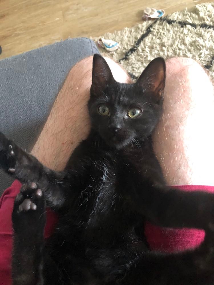 296239962_359563659657797_2651713570975862794_n