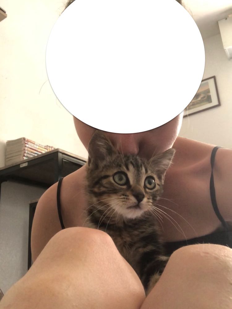 296249870_769064540958740_4337222433214956003_n