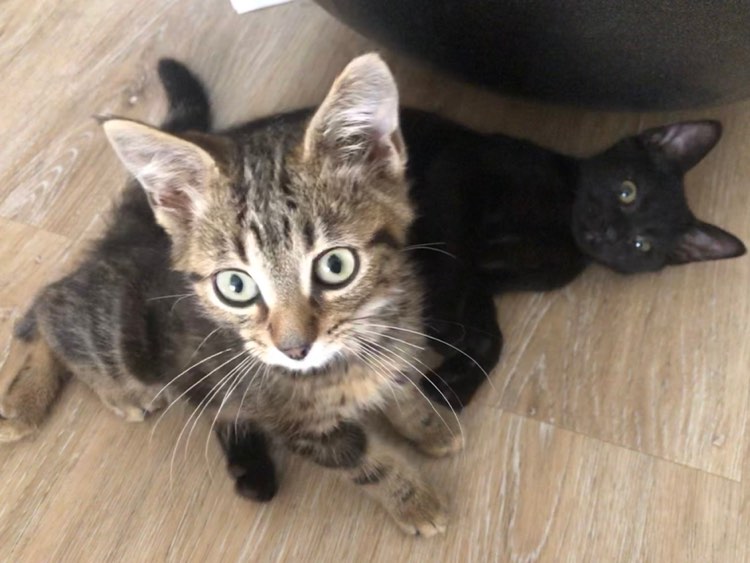 296314540_625599265658380_7004083816156827944_n