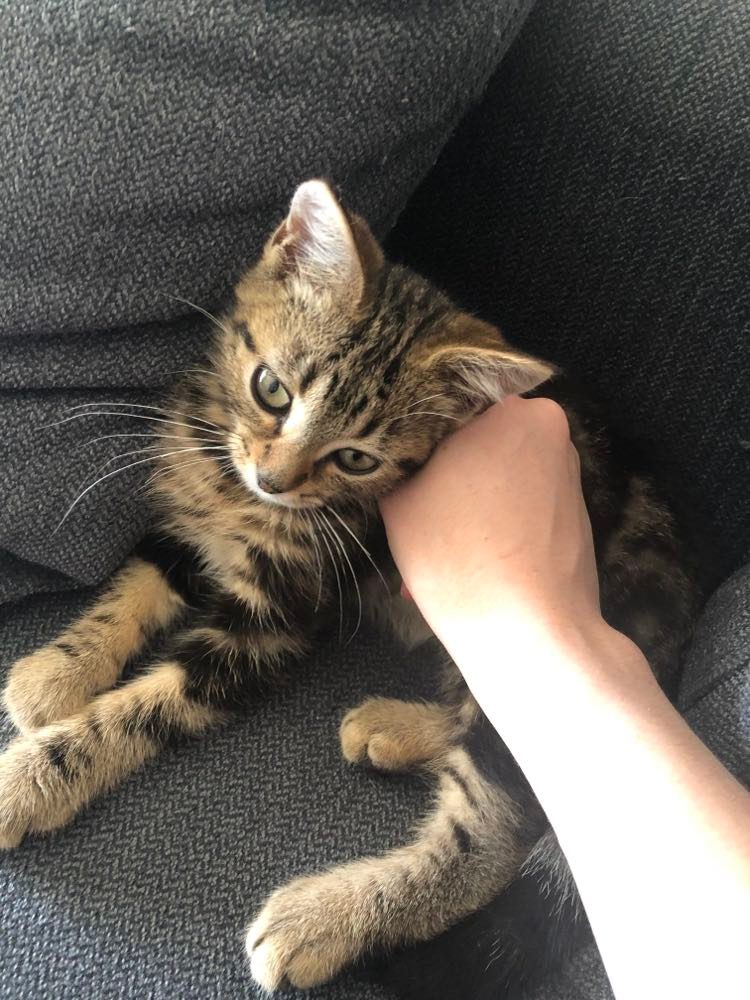 296590007_466019425343221_135445856817836451_n