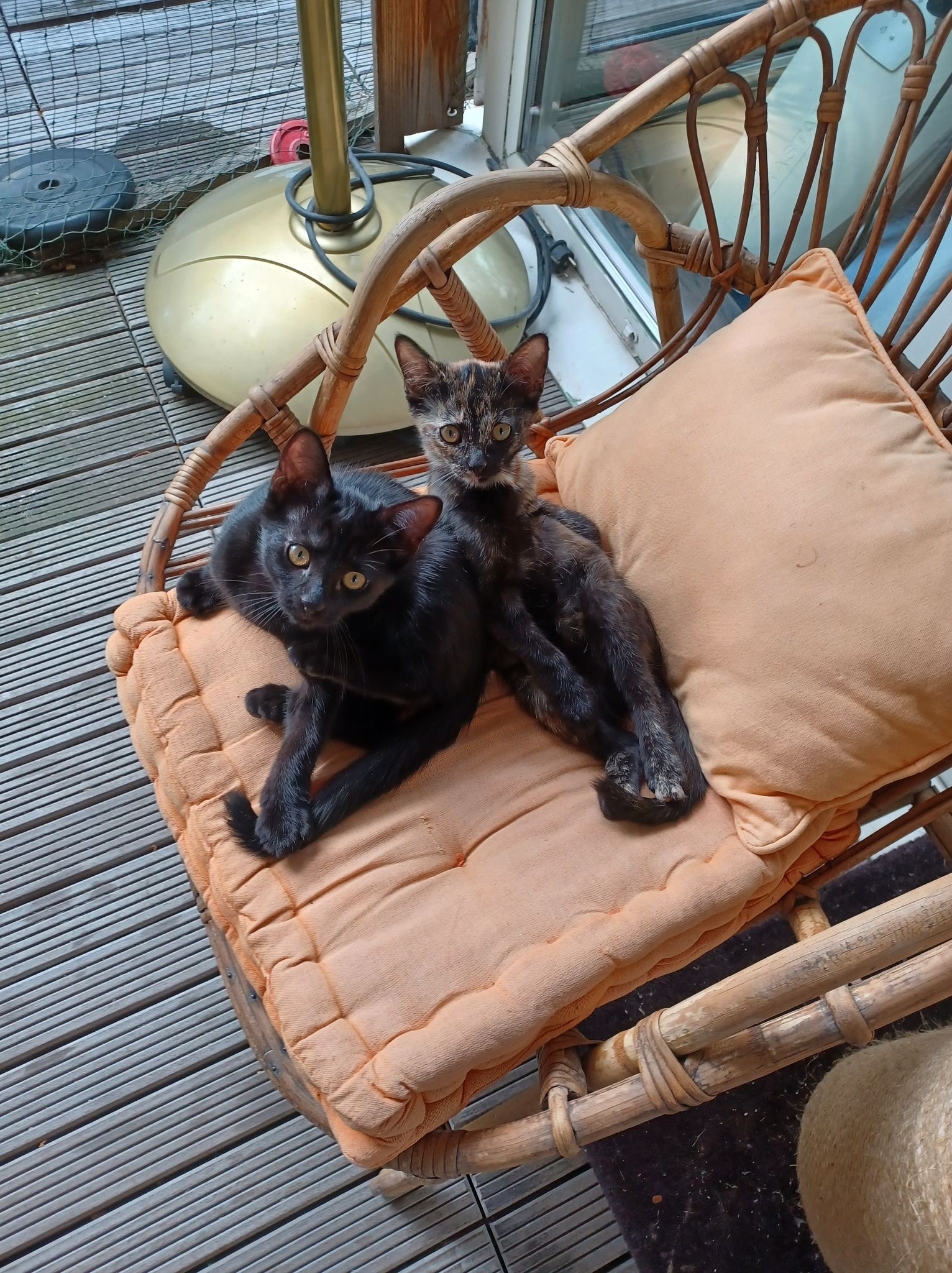 297060708_821598049003390_909295635101355961_n-1