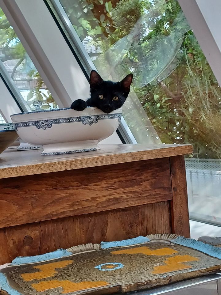 297458228_1714434108913955_7448288304154954286_n-ConvertImage