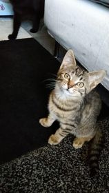 297650100_1701773076854261_8978693673452611499_n