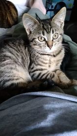 297653538_739277083966933_3089398420533731514_n