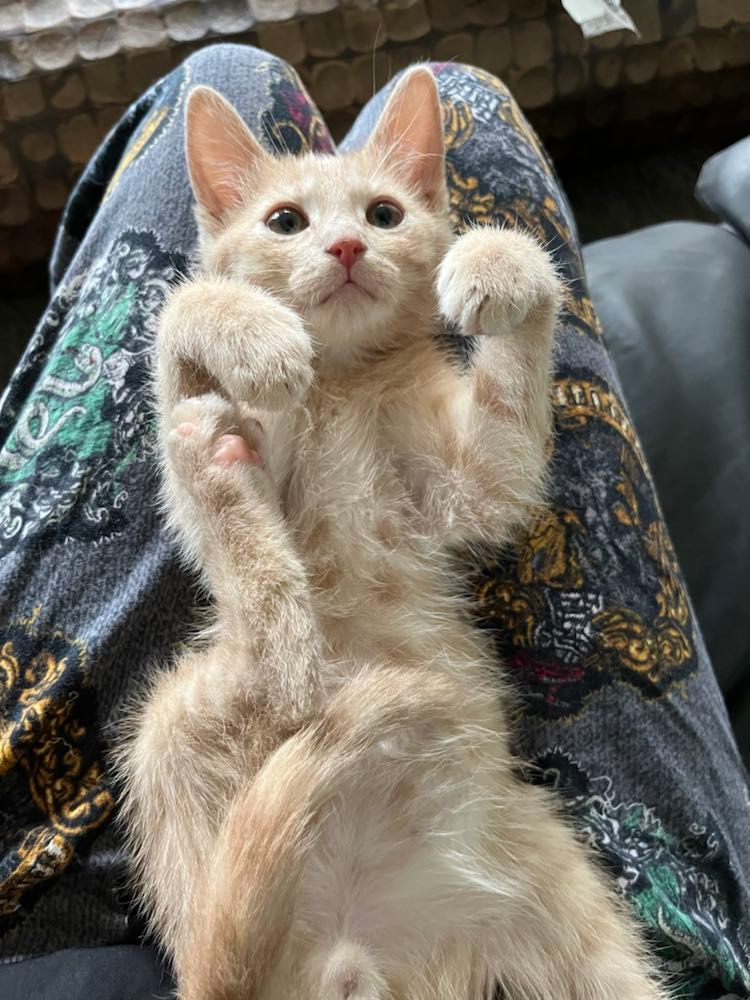 297802923_823254145507658_2183462062441668005_n