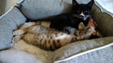 297809806_3963262250565701_2809894253891223254_n-1