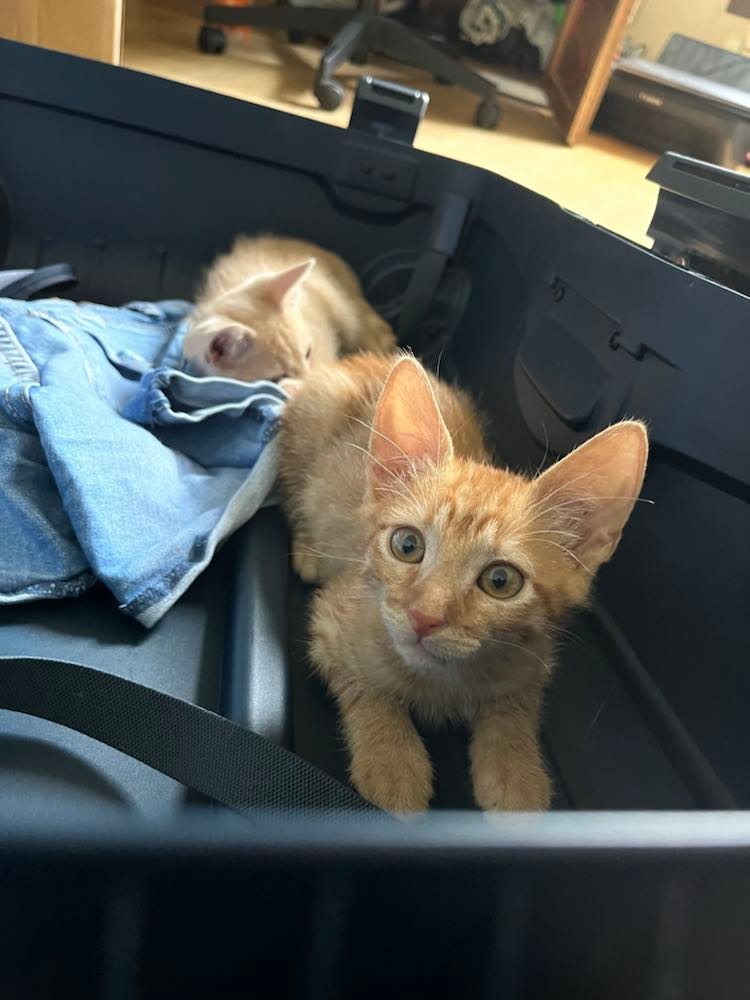 297859392_803526270653576_1383909696731570674_n-1