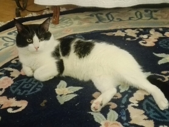 297893955_407637401457423_7559080019531633680_n