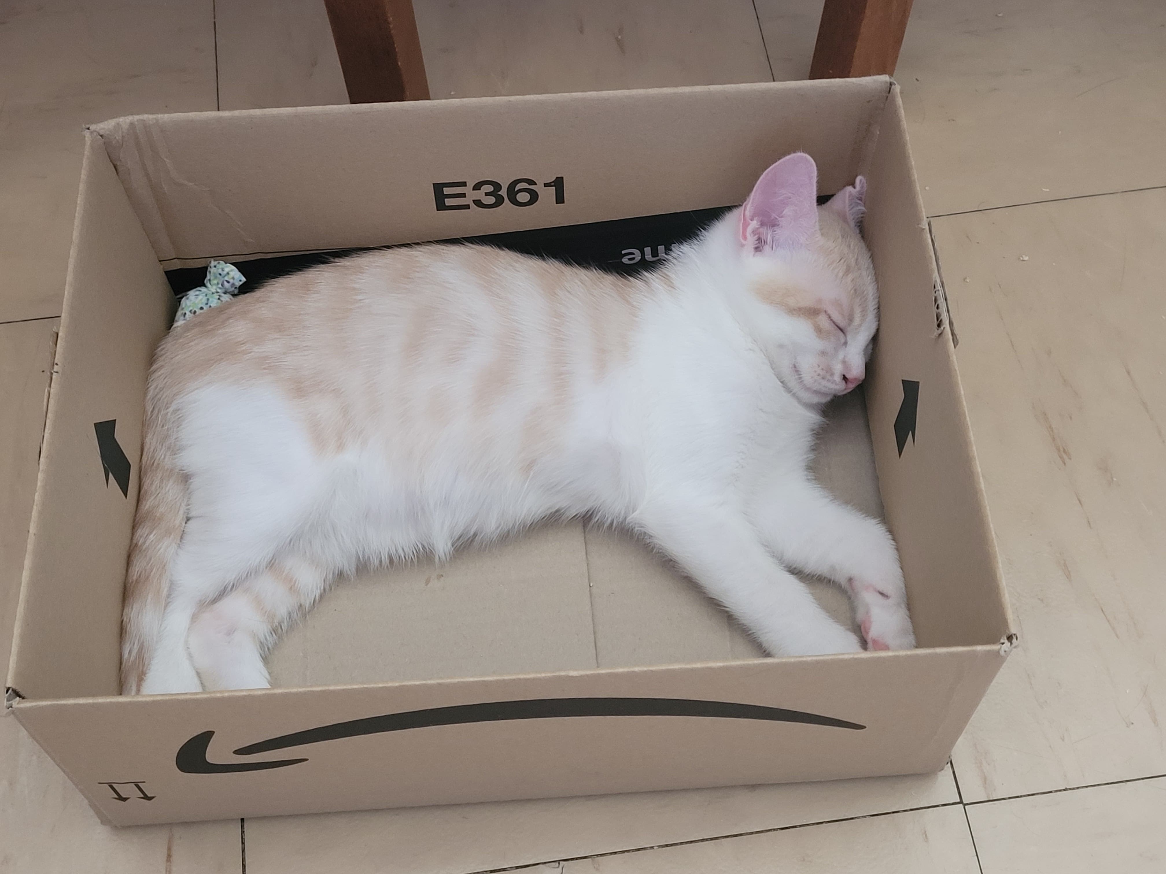 297927816_1230141441076576_4287931545976570252_n