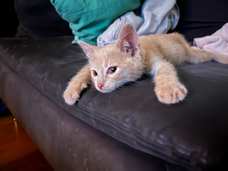 297944941_726654545405025_578791960301204403_n