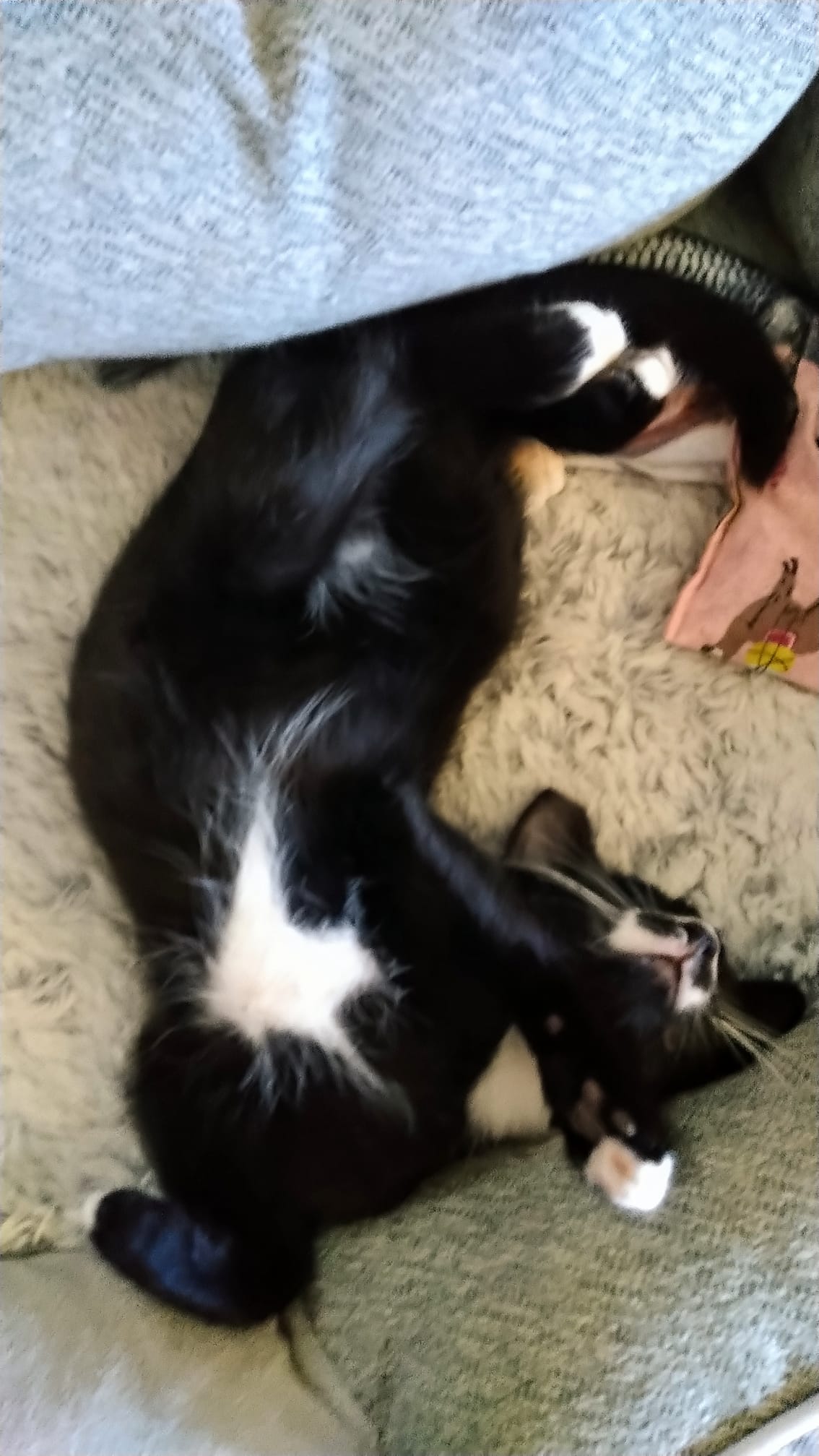 298118272_5570607659666228_7843814864313641960_n