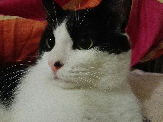 298362211_5575195272531134_8312747992262178150_n