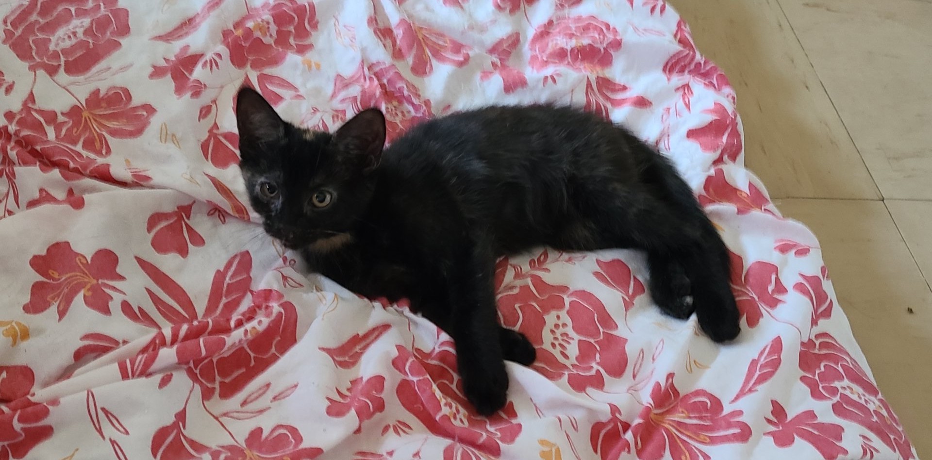 298393327_1847886732084934_1458570043379410860_n