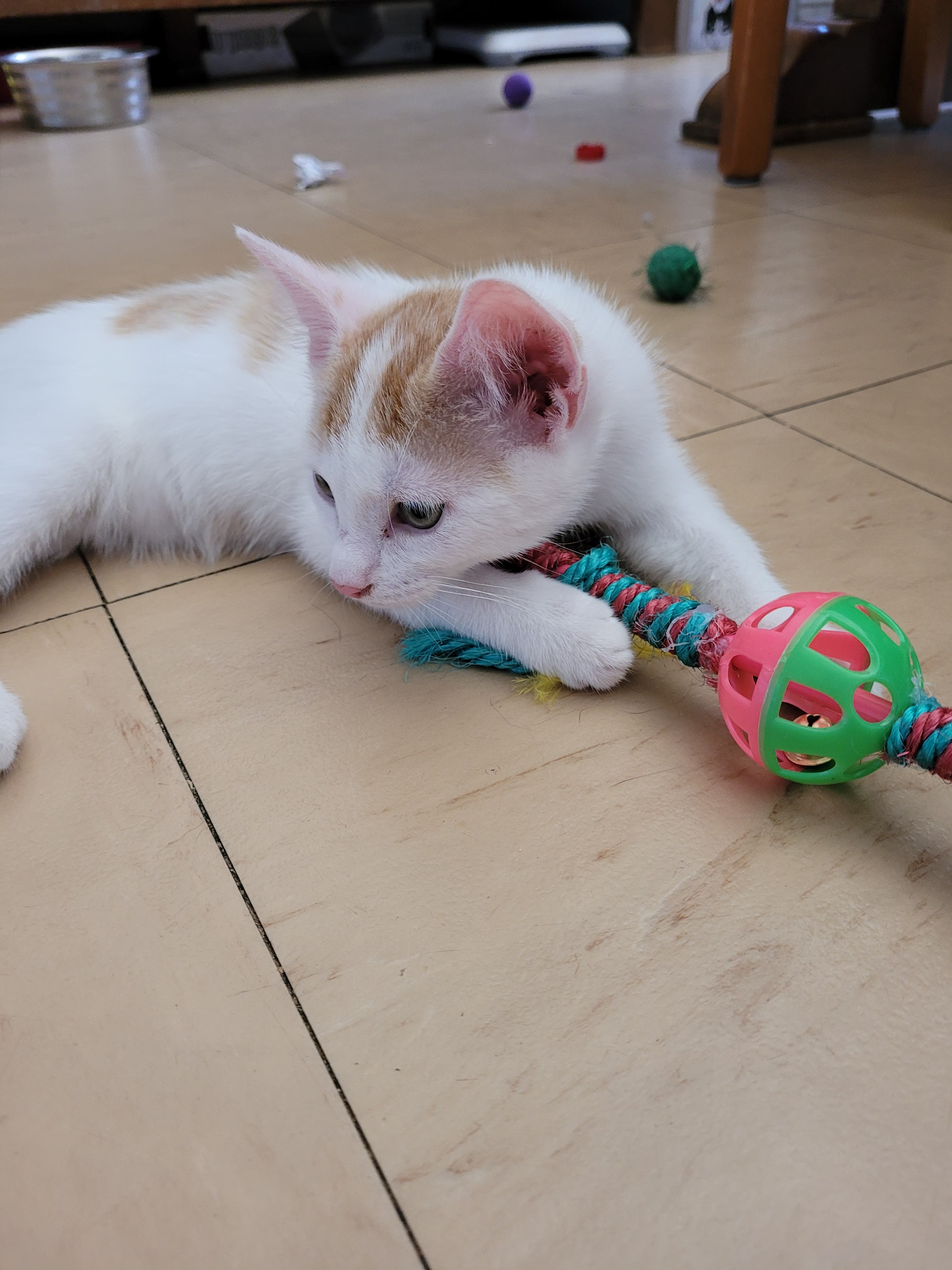 298478983_489249989870087_300088559172663393_n