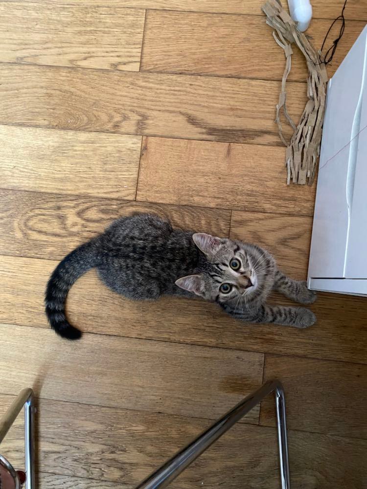 298515423_791827525330135_4434334082553384712_n-1