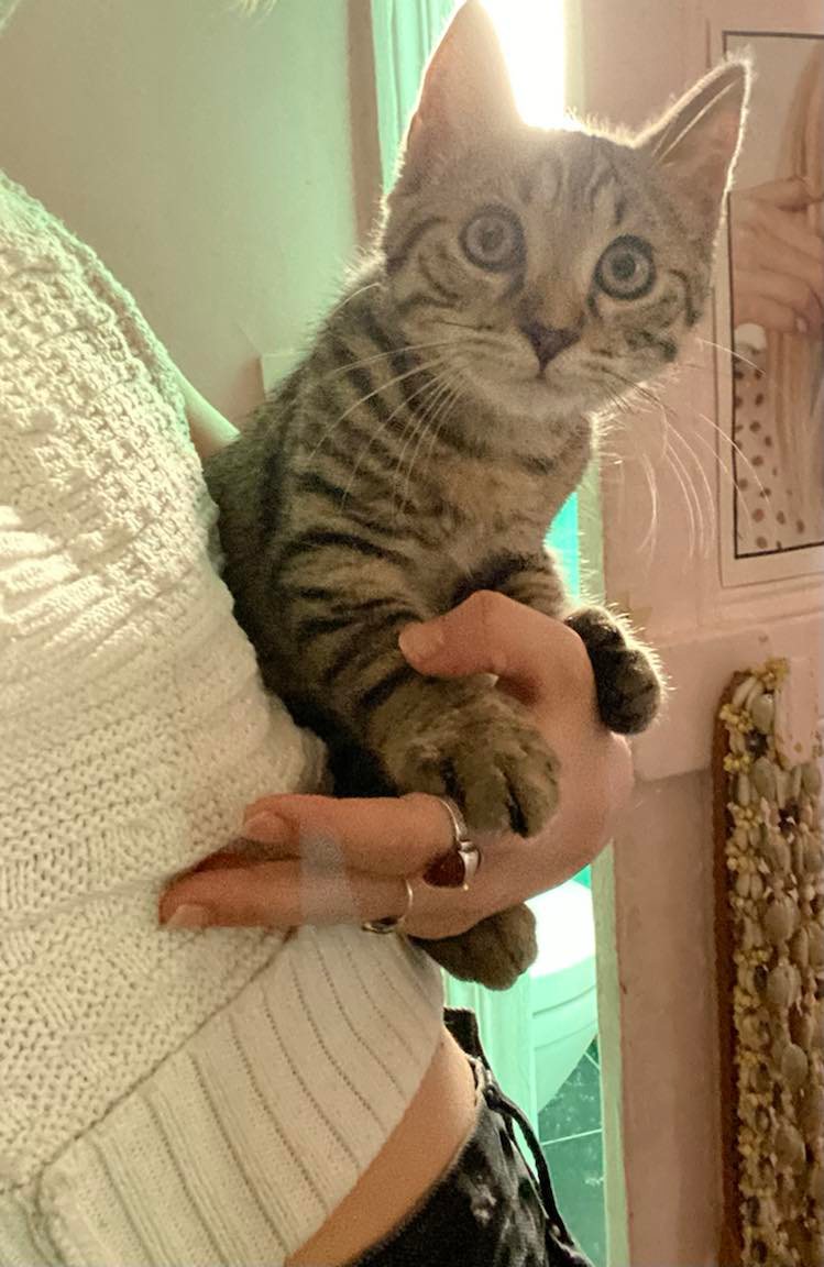 298596458_3370615686512608_1001235355782847707_n-1