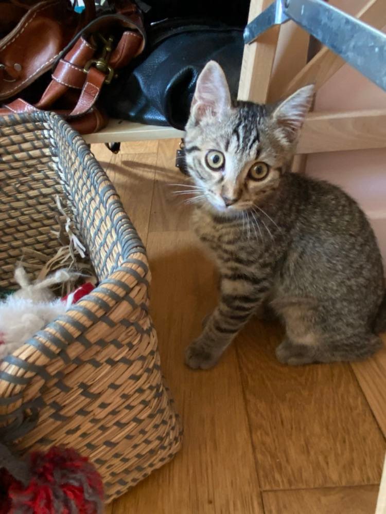 298675258_614760613318588_7189669483274572174_n