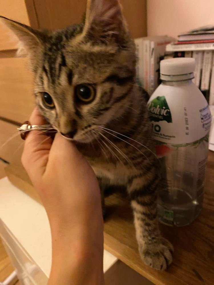 298751758_8177160785642318_153452843085007164_n-1