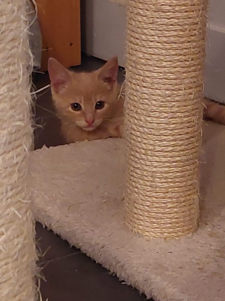 298886248_583426373507323_7139358324089159325_n