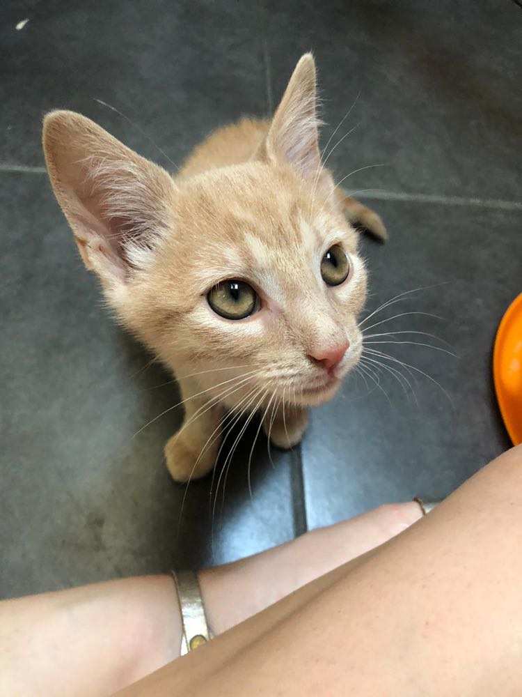 298964655_796042831524984_2974459825907303780_n-1