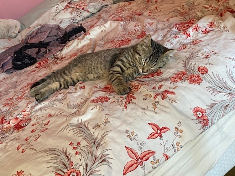 299089386_921144722600579_657754668975040386_n