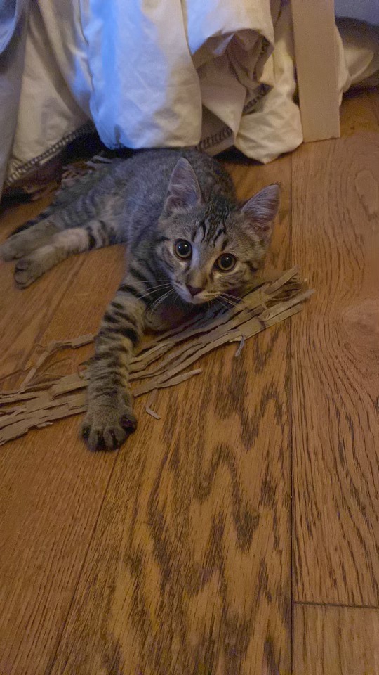 299103469_592466939076510_1524380145166020027_n