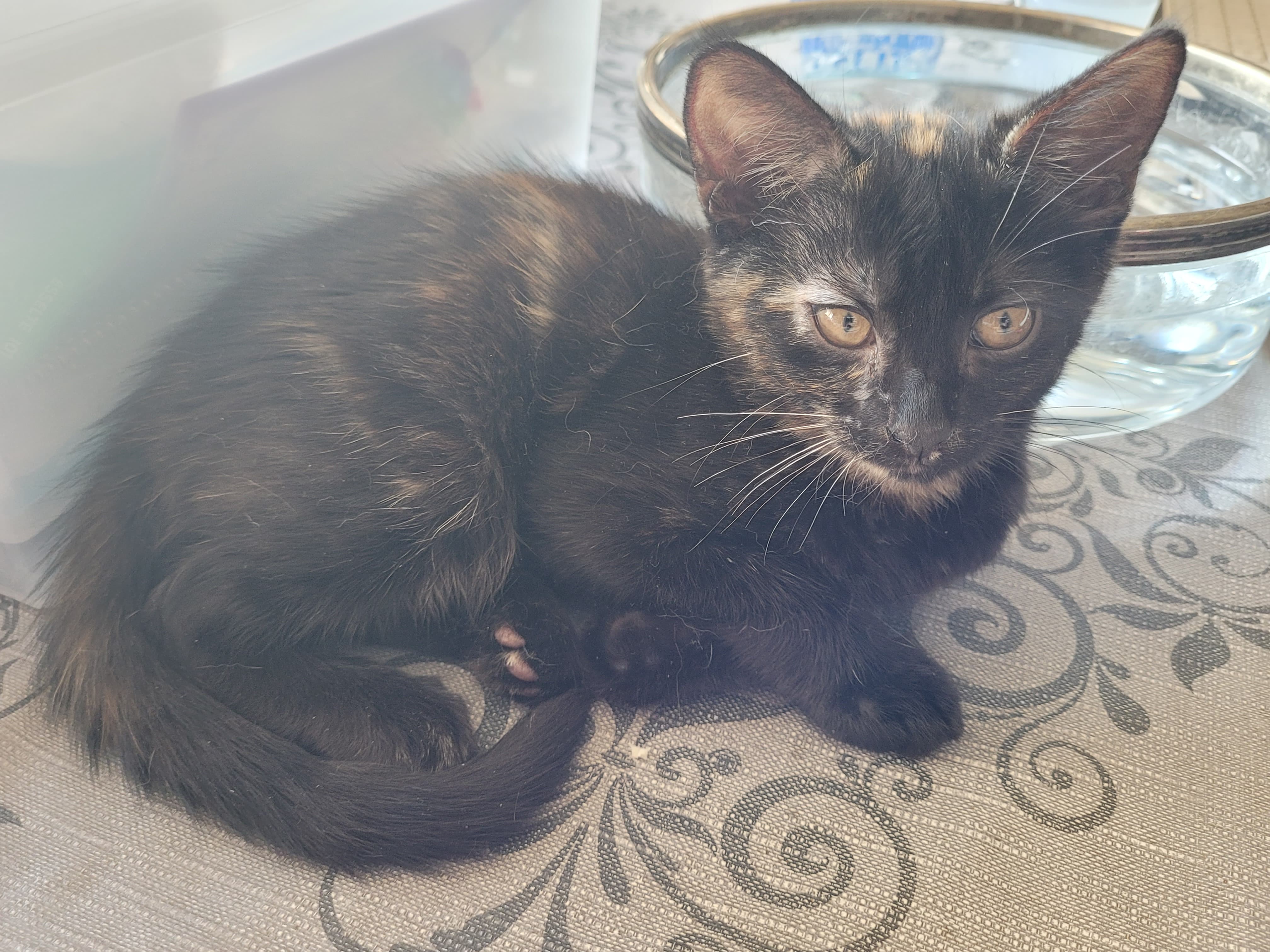 299422938_624697405888852_5348969014484131539_n-1