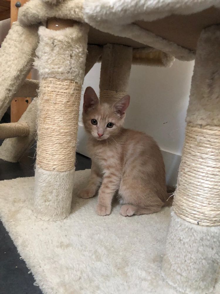 299574611_1038993970154217_2825937094651492342_n