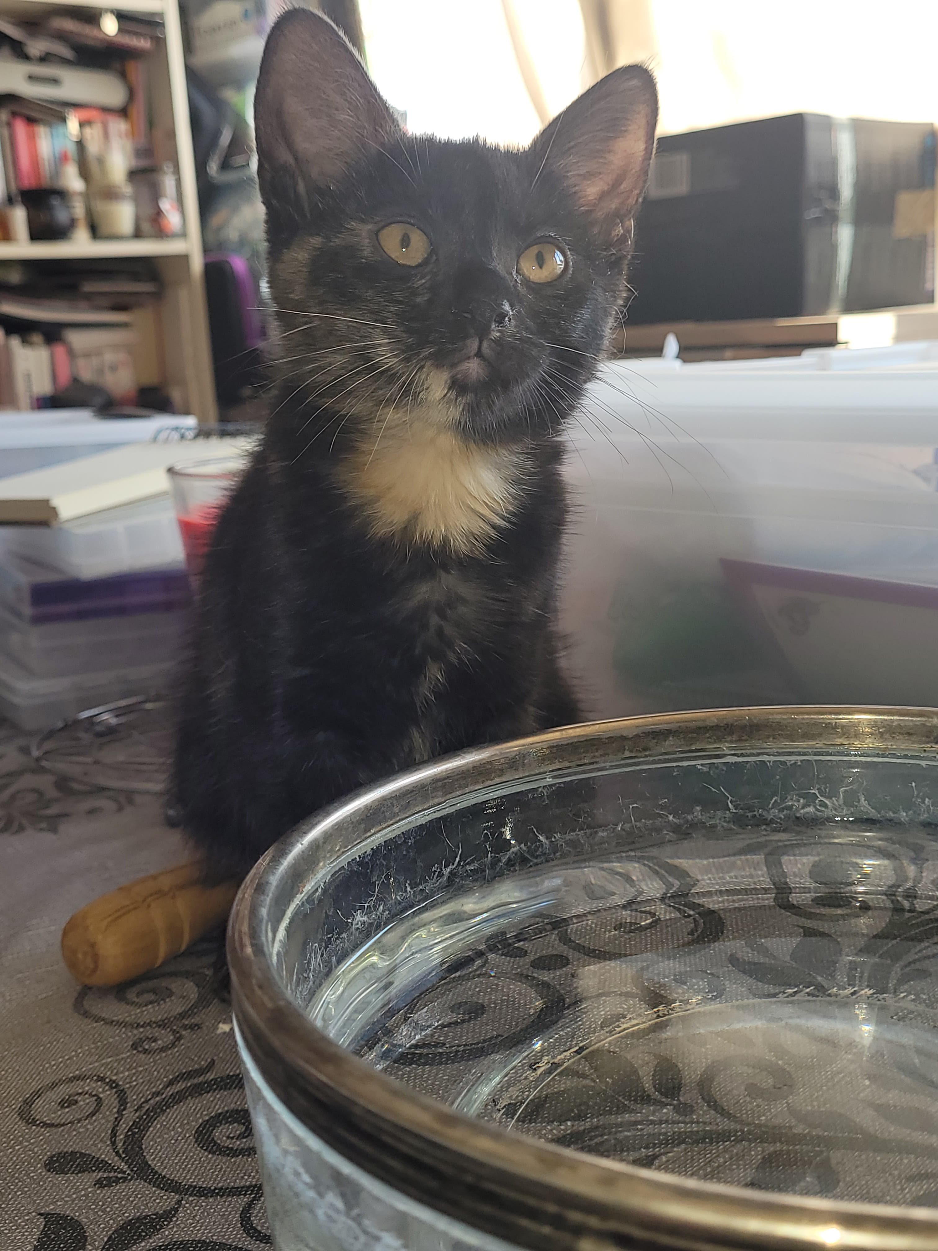 299586479_1208950236567580_5928942178415110924_n