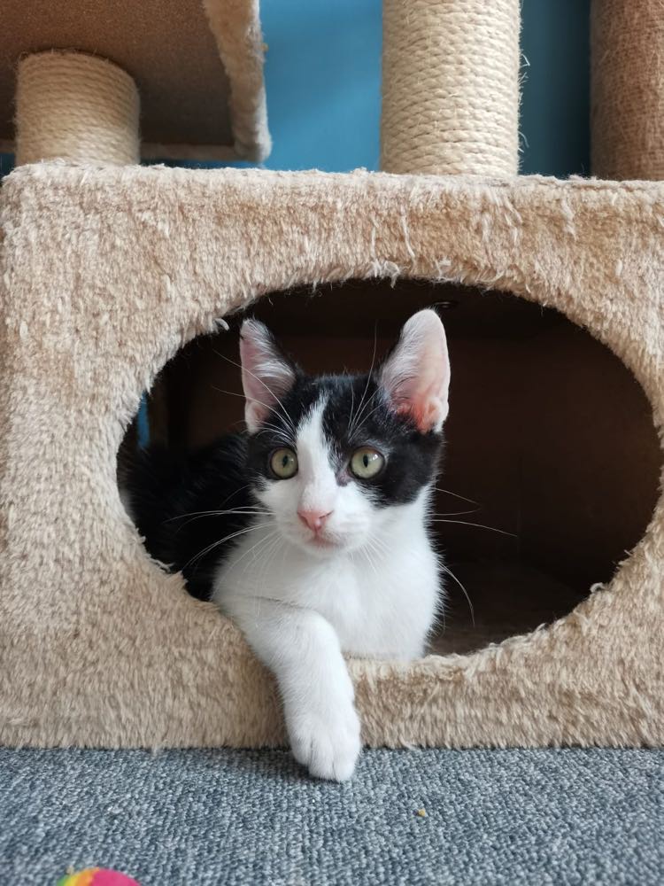 299646670_3408446262745655_6829256970906431248_n-2