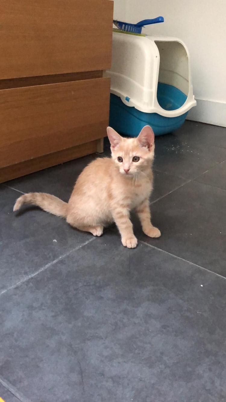 299772858_1537583640010079_3172578837049092150_n